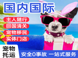 晋江空运国际宠物托运 【国